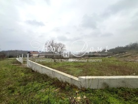 ����� ������� ������,�. �������, ������ �����