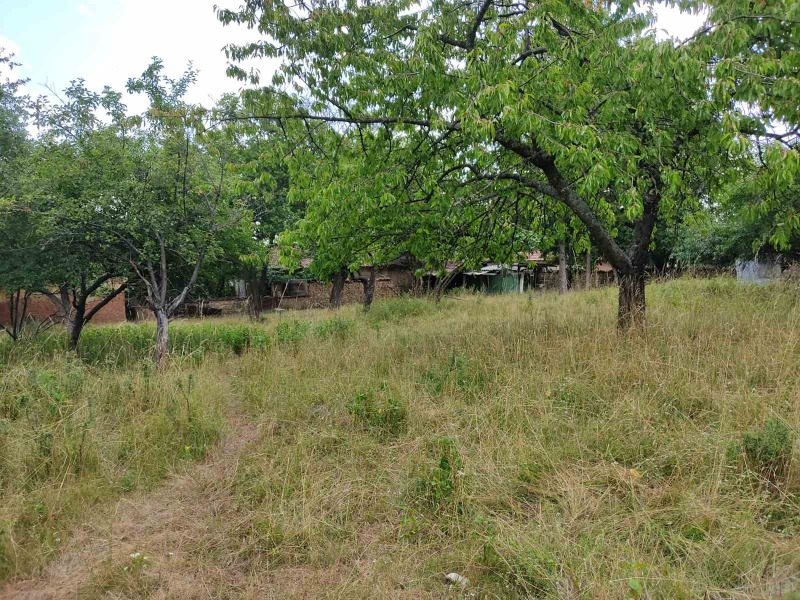 En venta  Trama región Pernik , Kosharevo , 650 metros cuadrados | 81601114 - imagen [4]