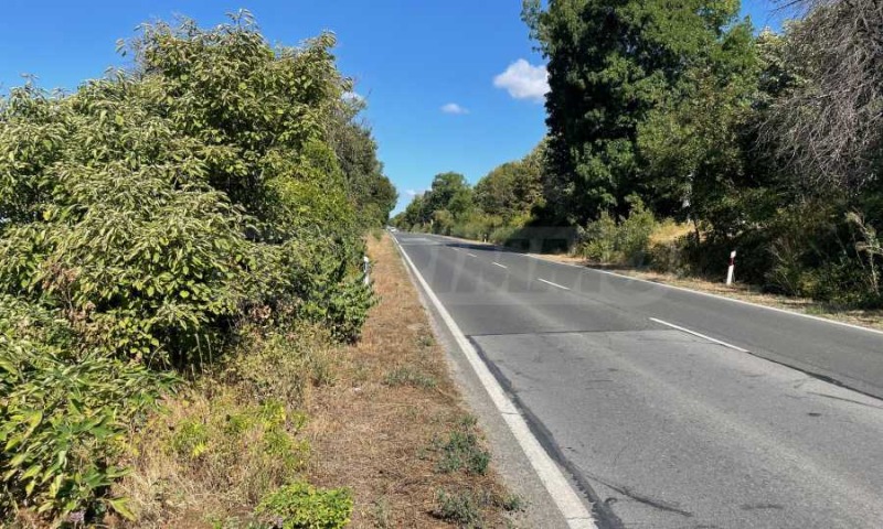 Till salu  Komplott region Varna , Bliznaci , 48300 kvm | 44022150 - bild [3]