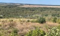 Продава ПАРЦЕЛ, област Варна, с. Близнаци • 150000 € • 54722679 — Holmes.bg
