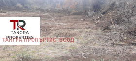 Plot Priboy, region Pernik 5