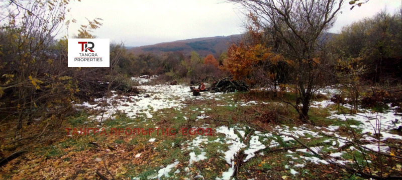 Te koop  Verhaallijn regio Pernik , Priboj , 2300 m² | 19479708 - afbeelding [8]