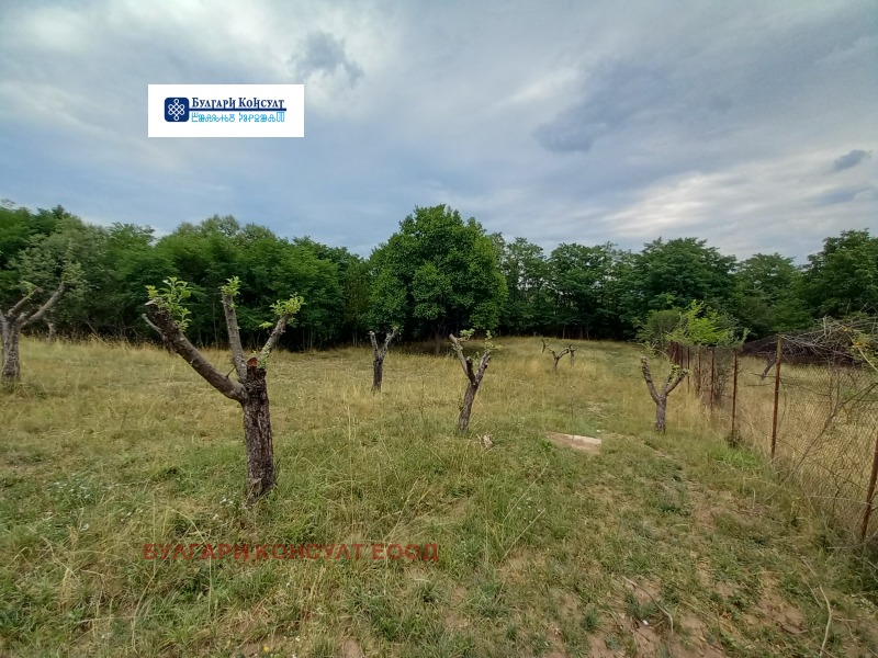 Продава  Парцел град Кюстендил , Върташево , 2059 кв.м | 34780691 - изображение [5]