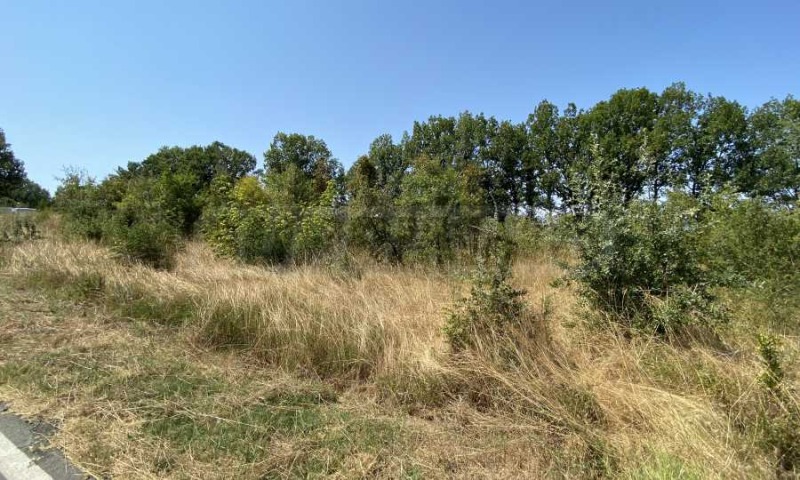 Satılık  Komplo bölge Burgaz , Primorsko , 1177 metrekare | 20554156 - görüntü [4]