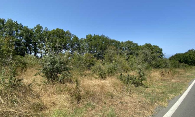 Satılık  Komplo bölge Burgaz , Primorsko , 1177 metrekare | 20554156 - görüntü [5]