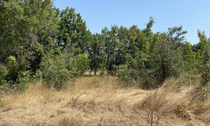 Satılık  Komplo bölge Burgaz , Primorsko , 1177 metrekare | 20554156 - görüntü [2]