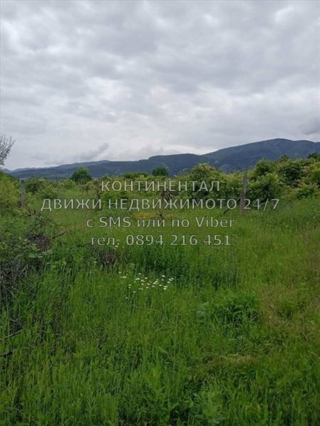 Te koop  Land regio Plovdiv , Brestnik , 1 dka | 58643123 - afbeelding [2]