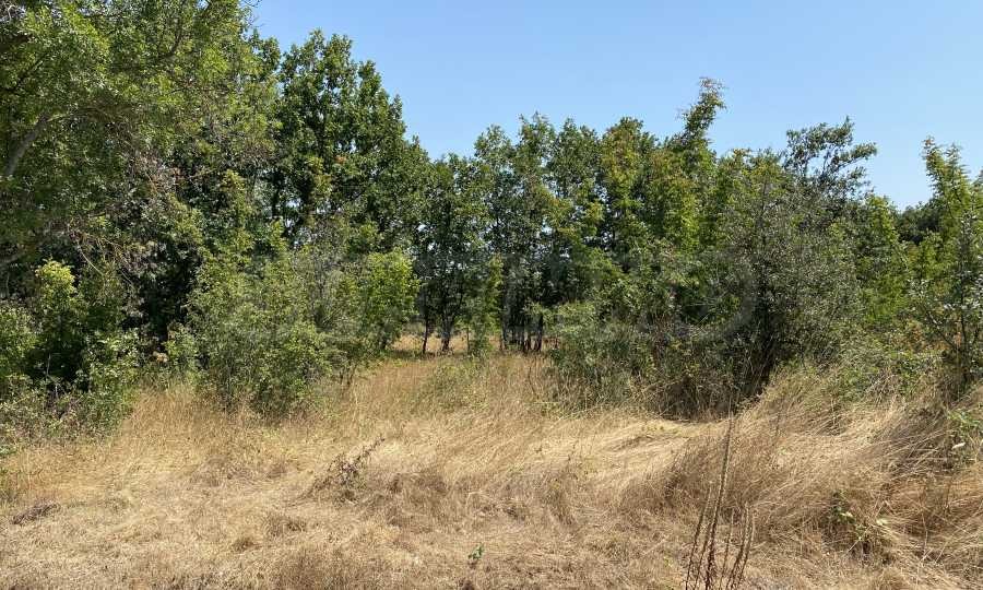 Продава ПАРЦЕЛ, гр. Приморско, област Бургас, снимка 2 - Парцели - 51170426