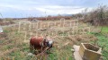 Продава КЪЩА, област Пазарджик, с. Щърково • 14000 € / 27381.62 лв. • 28539583 3