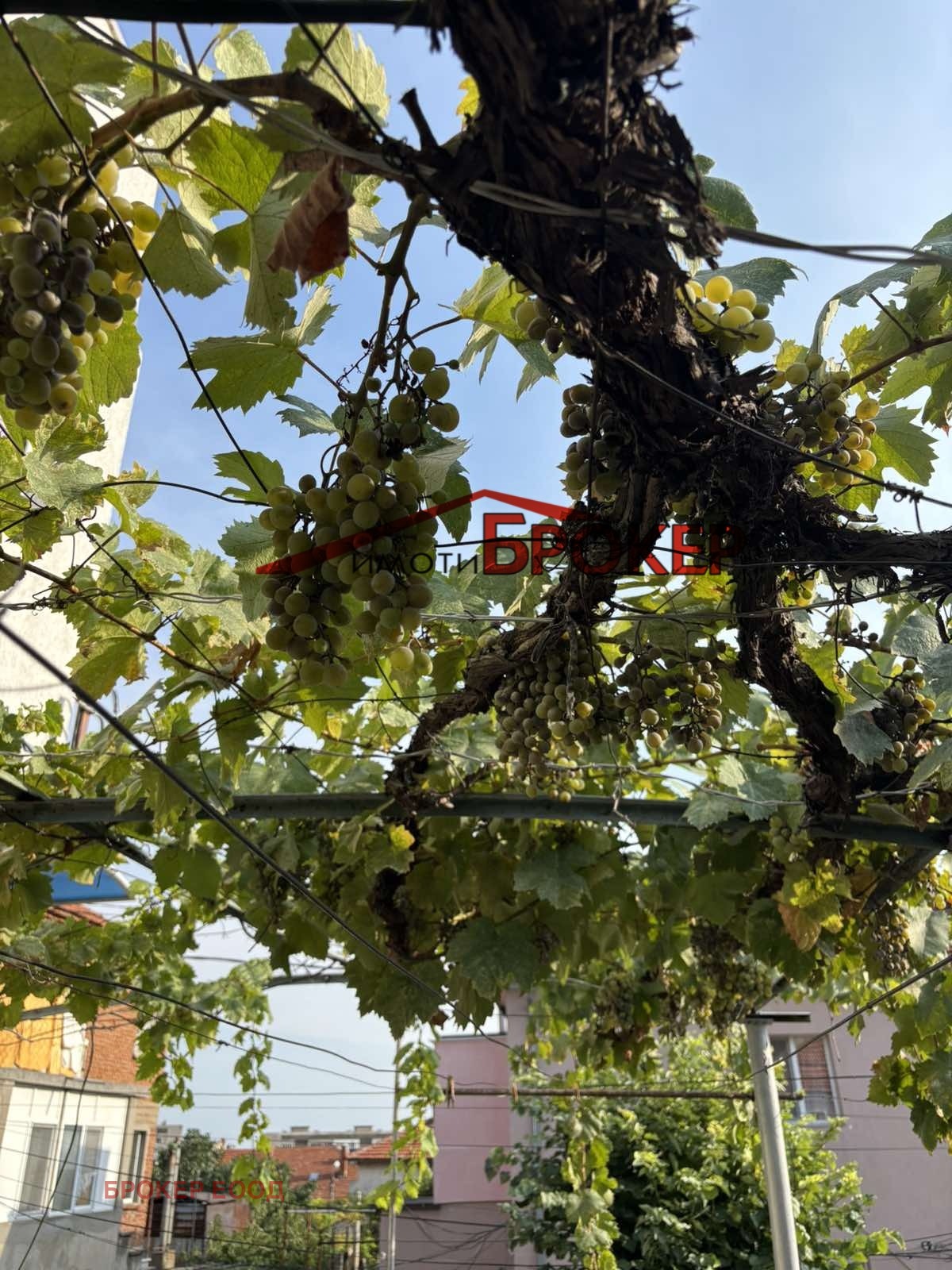 ������� ���� | Imot.bg � ����������� 12