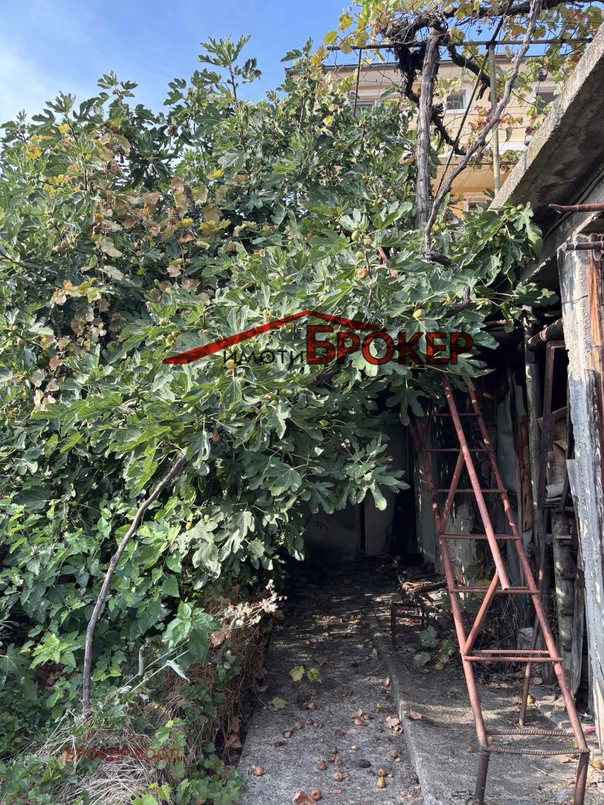 ������� ���� | Imot.bg � ����������� 15