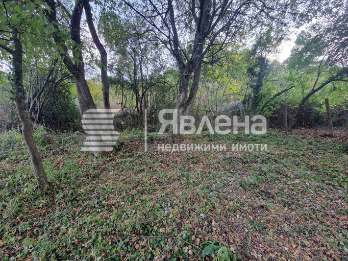 Продава КЪЩА, с. Бучин проход, област София област, снимка 15 - Къщи - 54874748
