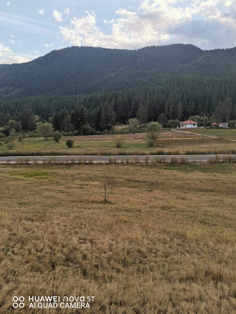 En venta  Trama región Pazardzhik , Sarnitsa , 4479 metros cuadrados | 80025122 - imagen [7]