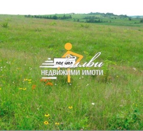 Plot Smyadovo, region Shumen 1