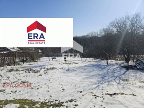 ������ ������� ������