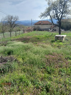 ������� ������ | Imot.bg � ����� ������ 5