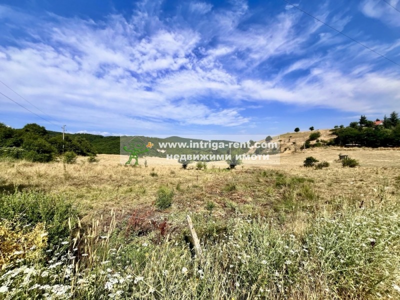 Till salu  Komplott region Haskovo , Brjastovo , 1100 kvm | 94852188 - bild [5]