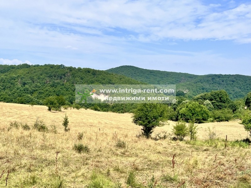 Till salu  Komplott region Haskovo , Brjastovo , 1100 kvm | 94852188 - bild [6]