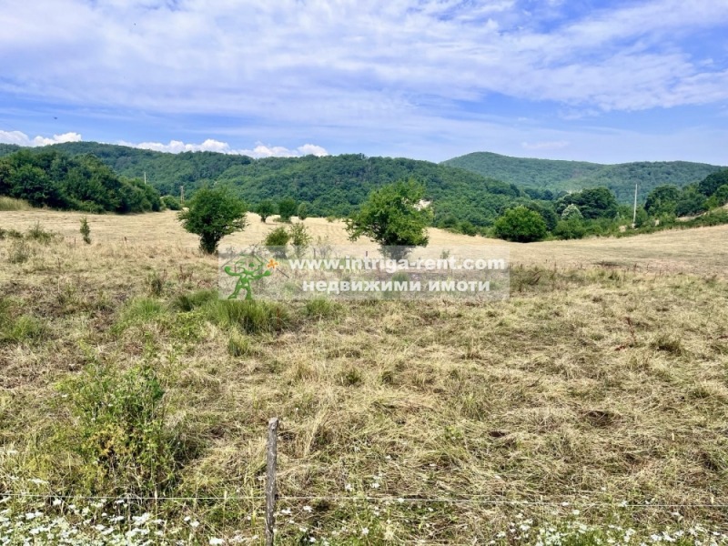 Till salu  Komplott region Haskovo , Brjastovo , 1100 kvm | 94852188 - bild [7]