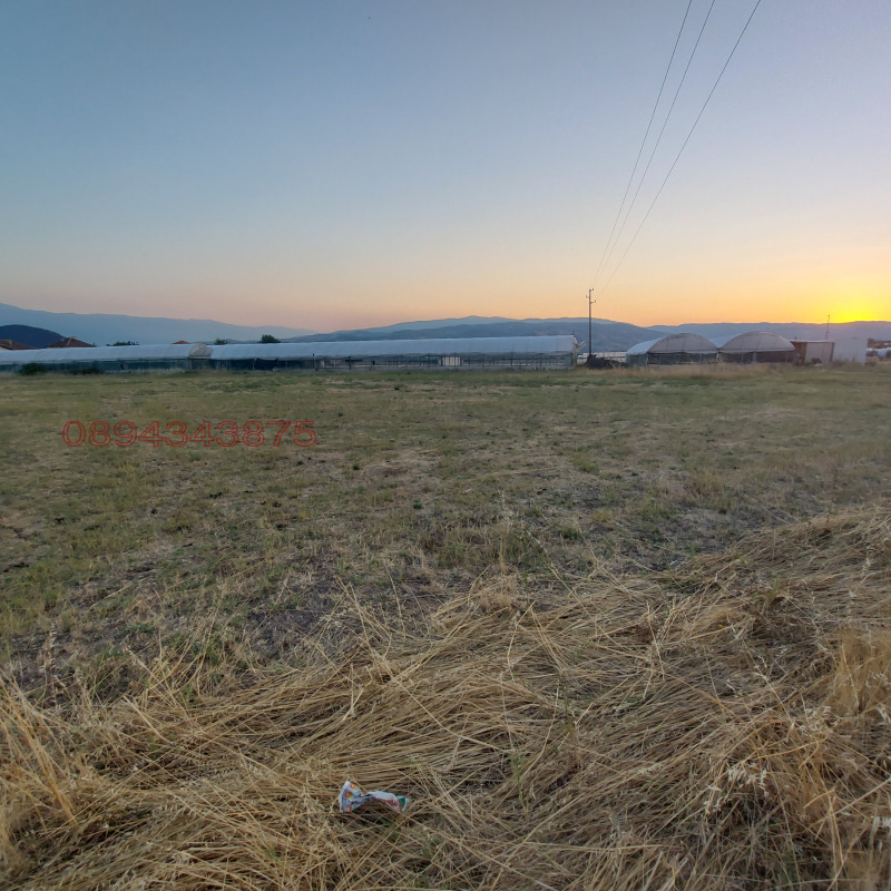 Till salu  Komplott region Blagoevgrad , Novo Deltjevo , 3000 kvm | 72265899 - bild [5]