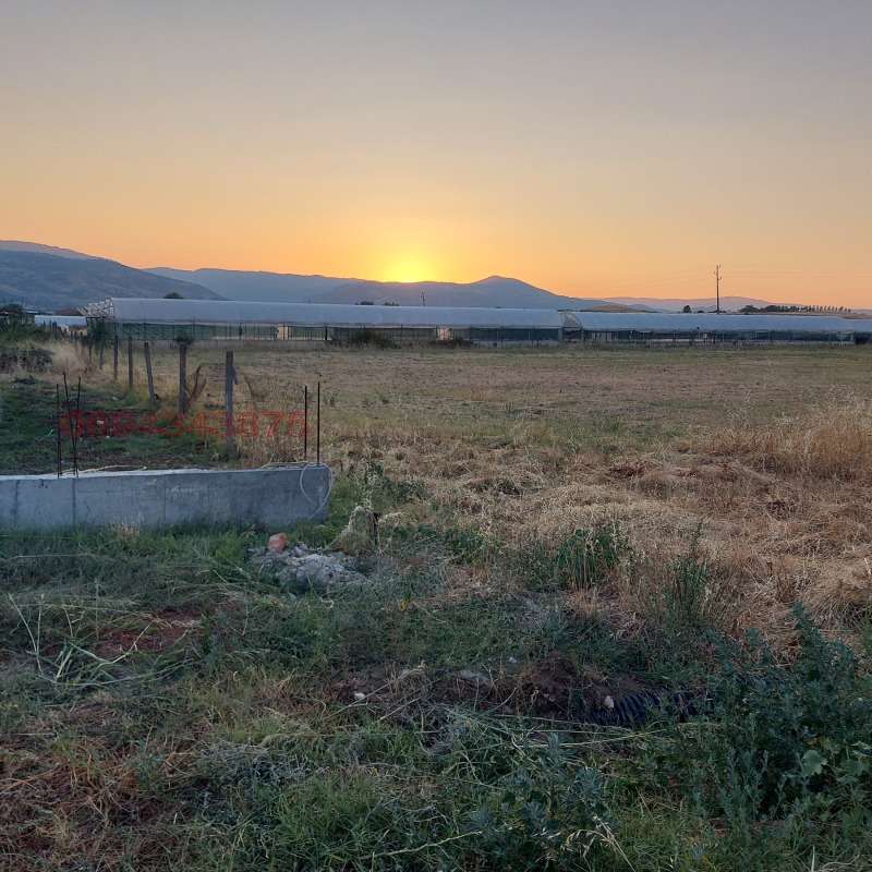 Till salu  Komplott region Blagoevgrad , Novo Deltjevo , 3000 kvm | 72265899 - bild [7]