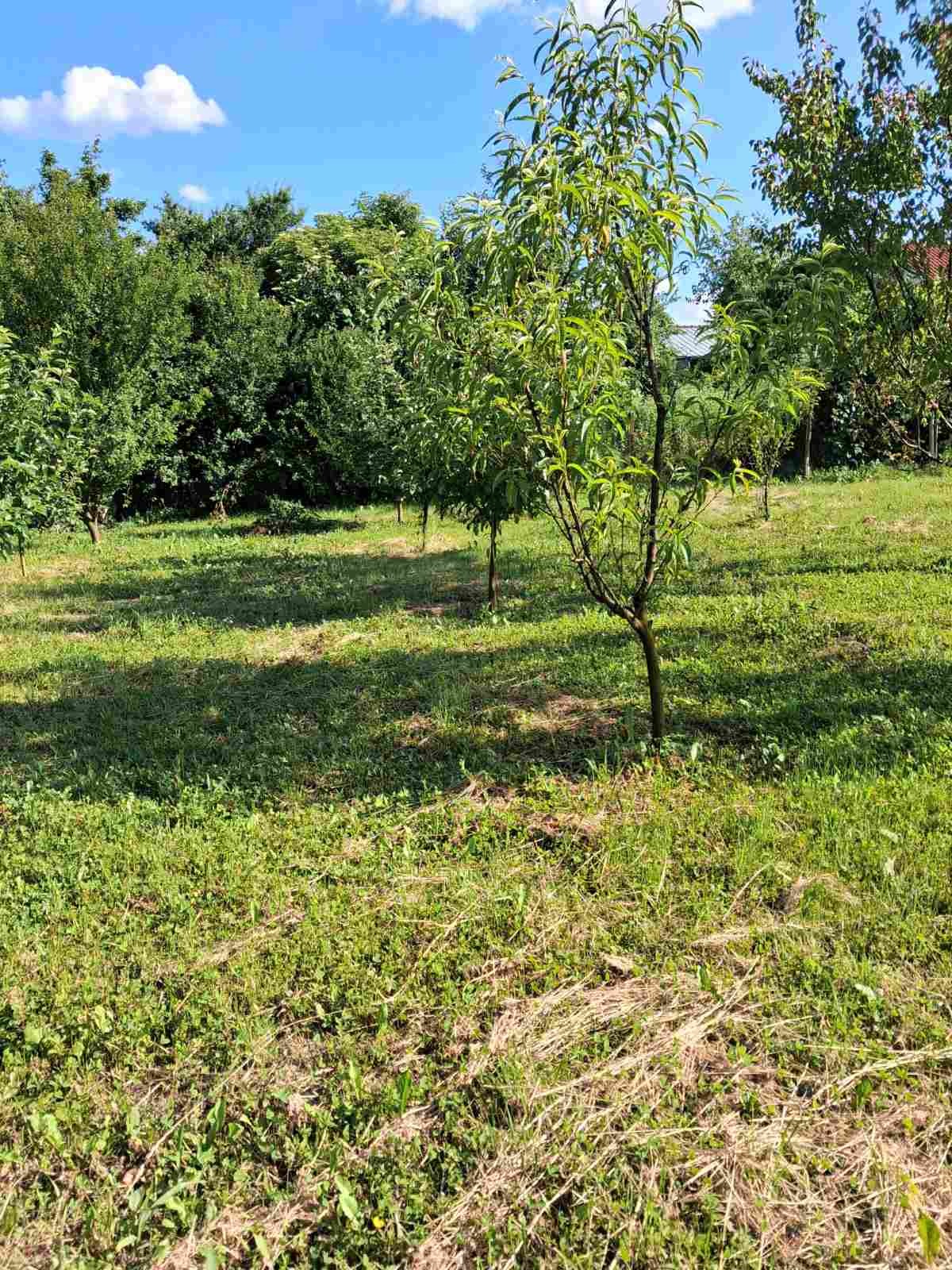 Продава КЪЩА, с. Горна Росица, област Габрово, снимка 17 - Къщи - 54976057