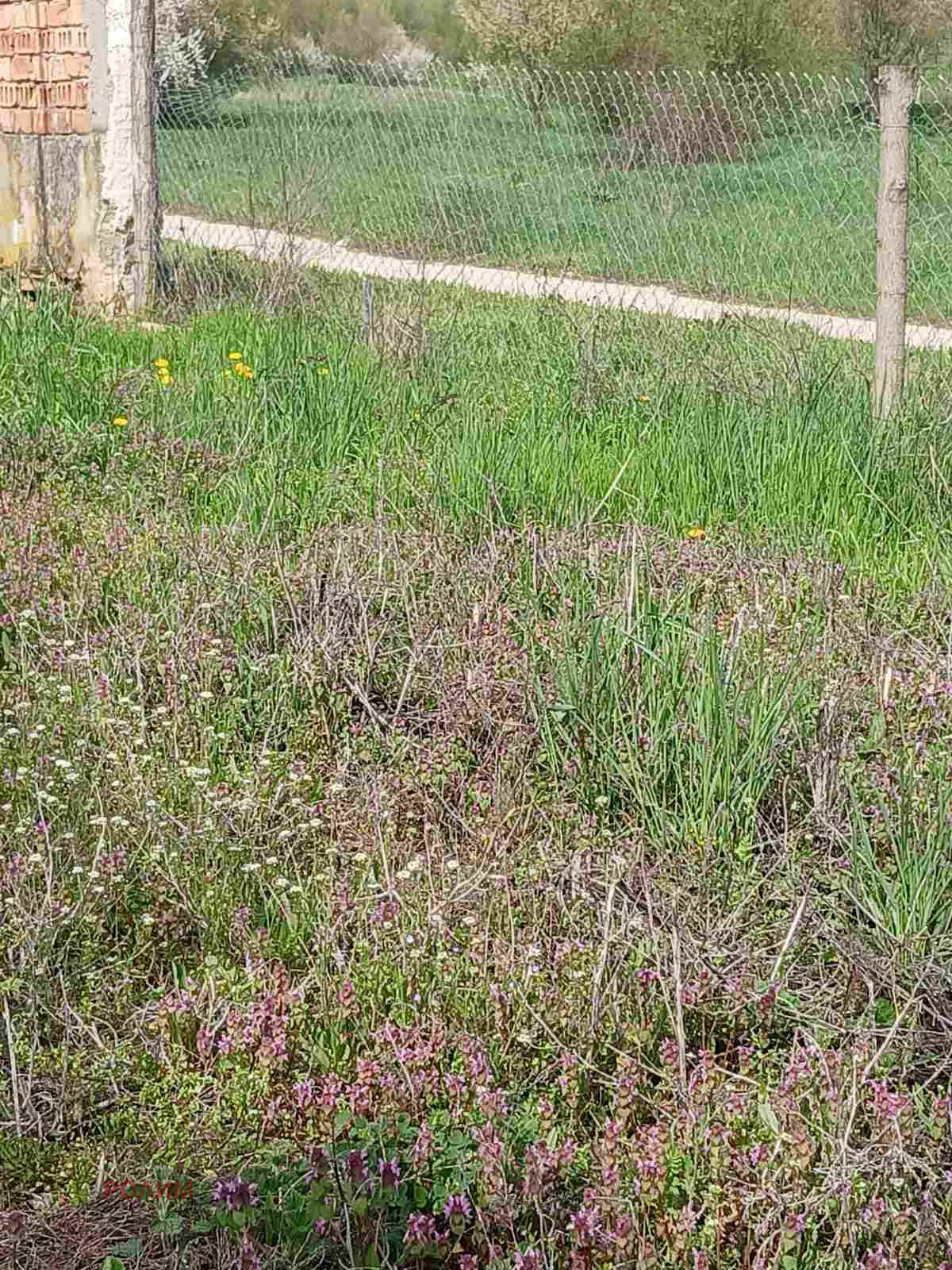 Продава ПАРЦЕЛ, с. Сенник, област Габрово, снимка 5 - Парцели - 54200799