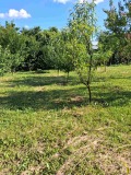 Продава КЪЩА, с. Горна Росица, област Габрово, снимка 17