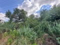Продава ПАРЦЕЛ, с. Брестница, област Ловеч, снимка 1