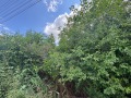 Продава ПАРЦЕЛ, област Ловеч, с. Брестница • 12320 € / 24095.83 лв. • 77837148 3