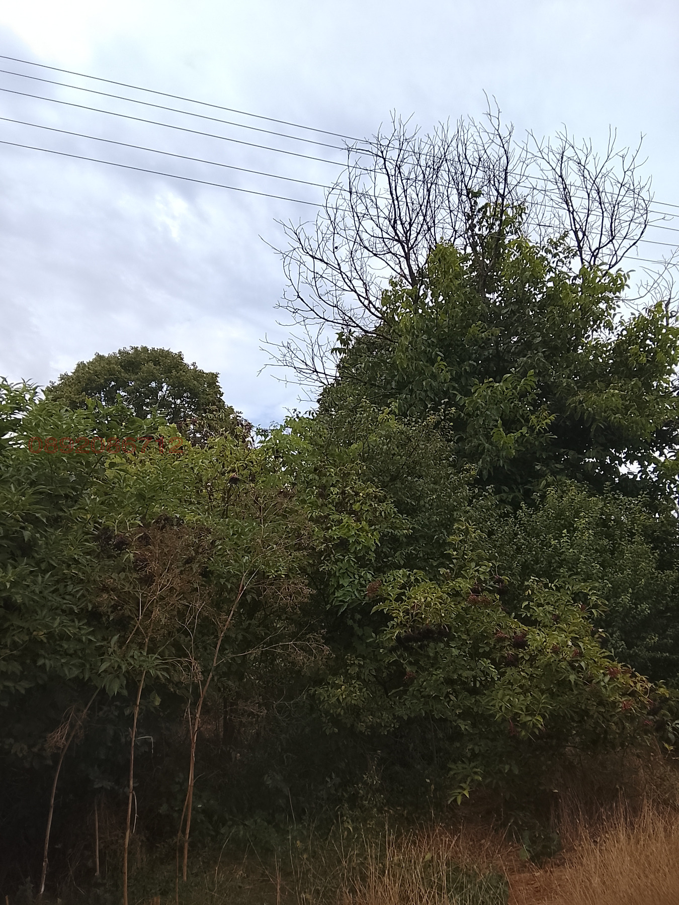 ������� ������ | Imot.bg � ����������� 1