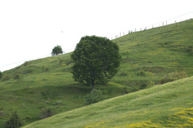 Komplott Tranak, region Burgas