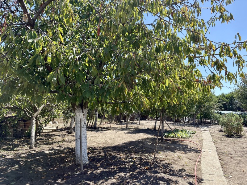 Na prodej  Dům oblast Plovdiv , Černozemen , 120 m2 | 71531716 - obraz [3]