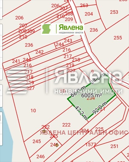 Продава  Парцел област Пазарджик , яз. Батак , 6001 кв.м | 34270151 - изображение [12]