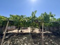 Продава КЪЩА, област Пловдив, с. Черноземен • 29999 € • 56332710 — Holmes.bg