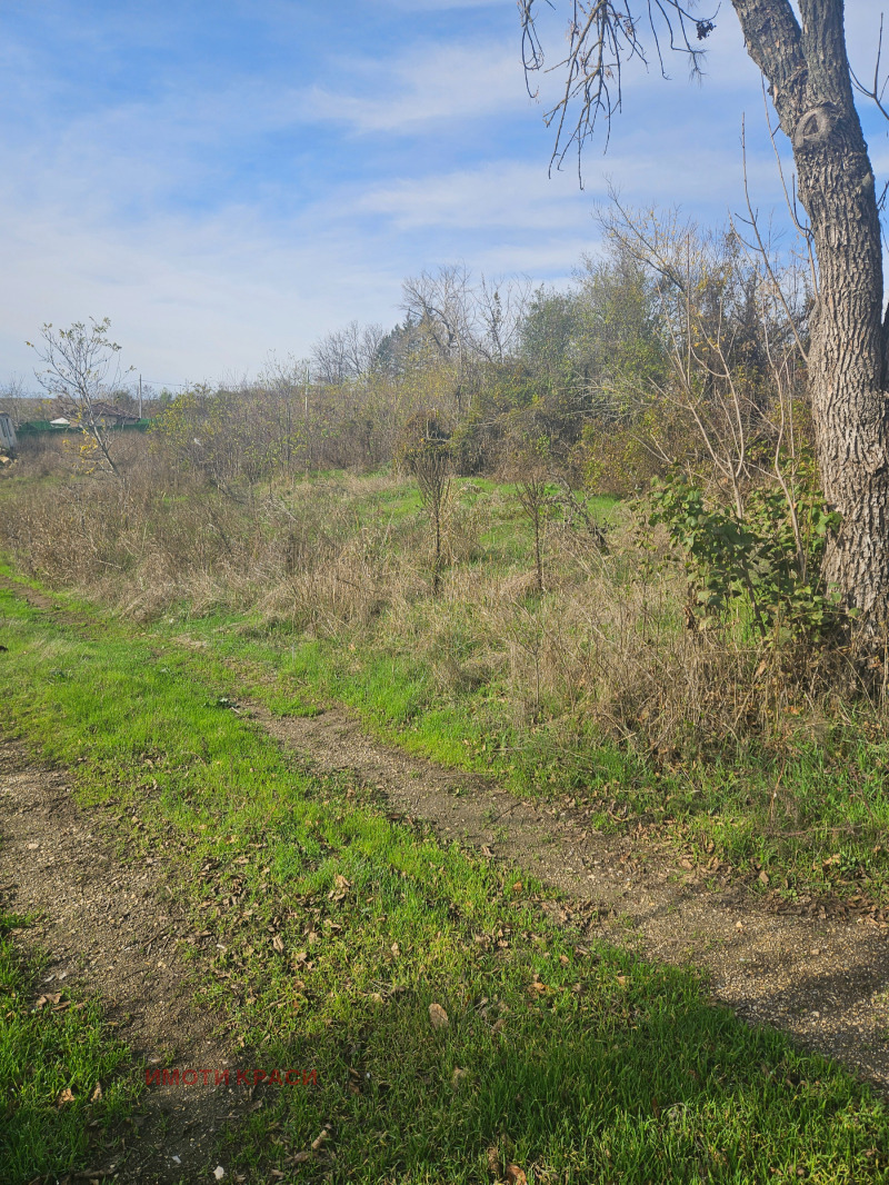 Продава ПАРЦЕЛ, с. Басарбово, област Русе