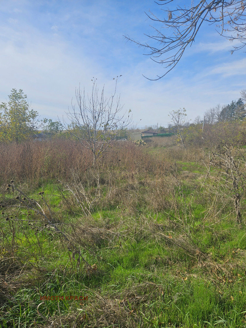 Продава ПАРЦЕЛ, с. Басарбово, област Русе, снимка 2 - Парцели - 53311531