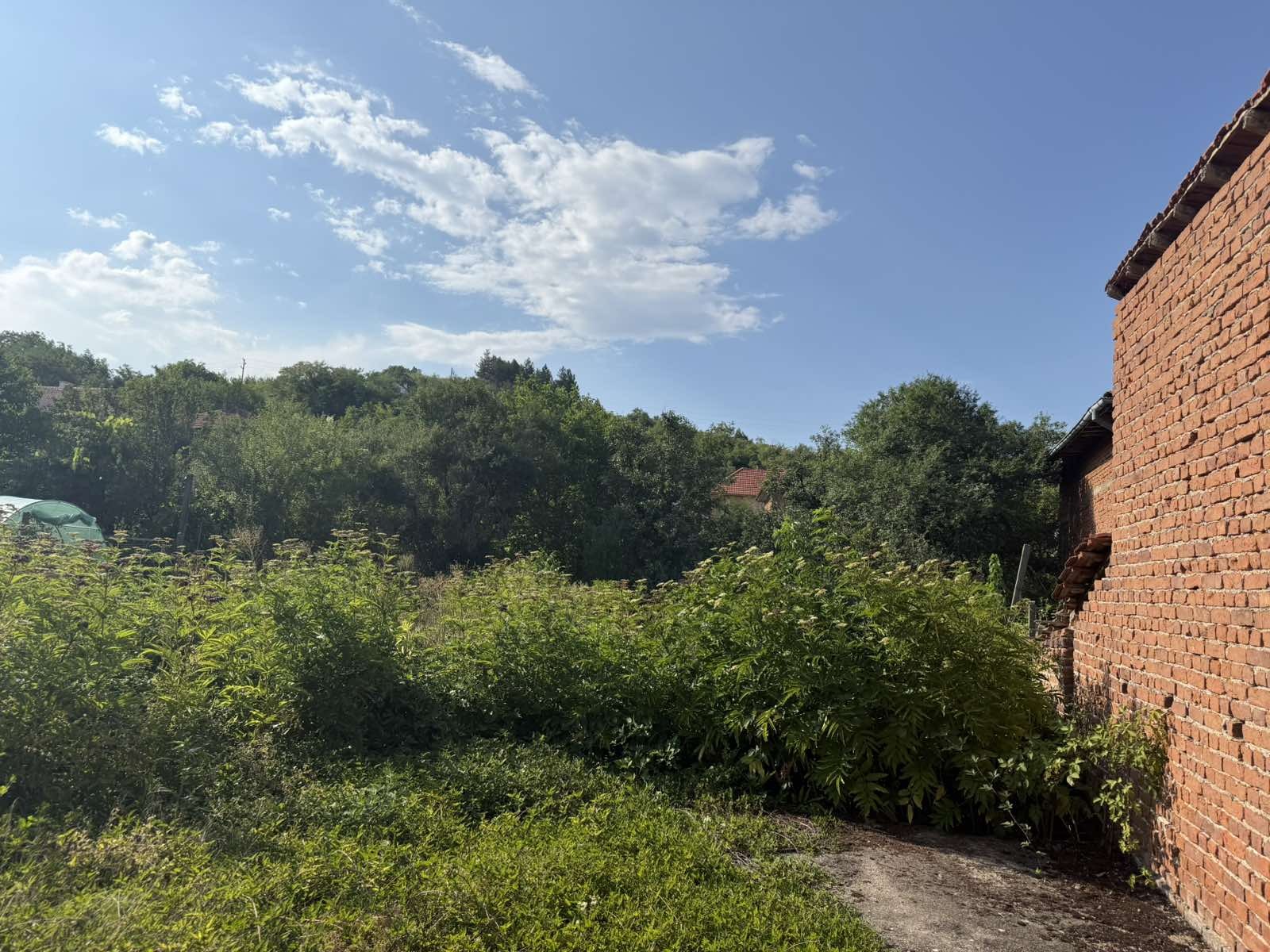 Продава ПАРЦЕЛ, с. Шишковци, област Кюстендил, снимка 3 - Парцели - 55467285