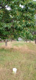 Продава ПАРЦЕЛ, гр. София, с. Подгумер, снимка 3