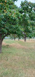 Продава ПАРЦЕЛ, гр. София, с. Подгумер, снимка 5