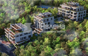 ����� ������� ����������,���� �����, �����