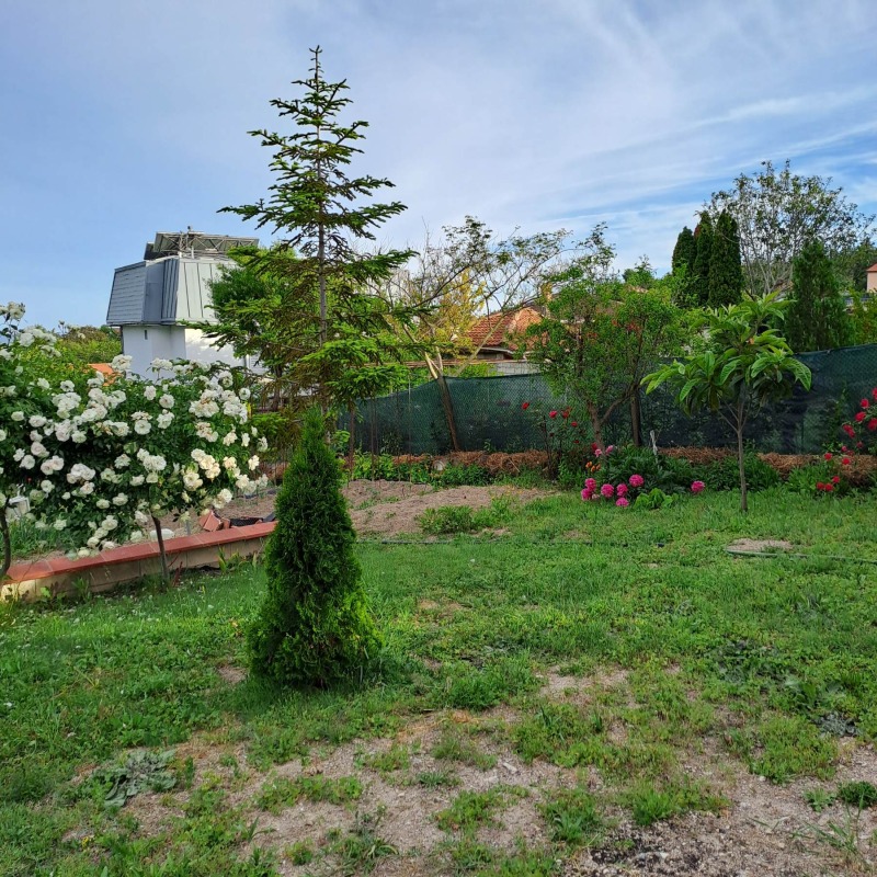 Myytävänä  Talo Dobrichin alue , Baltšik , 154 neliömetriä | 52169762 - kuva [14]