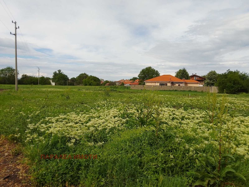 Eladó  Cselekmény régió Plovdiv , Krumovo , 1250 négyzetméter | 80774714