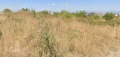 Продава ПАРЦЕЛ, град София, Витоша • 599000 € • 43218373 — Holmes.bg