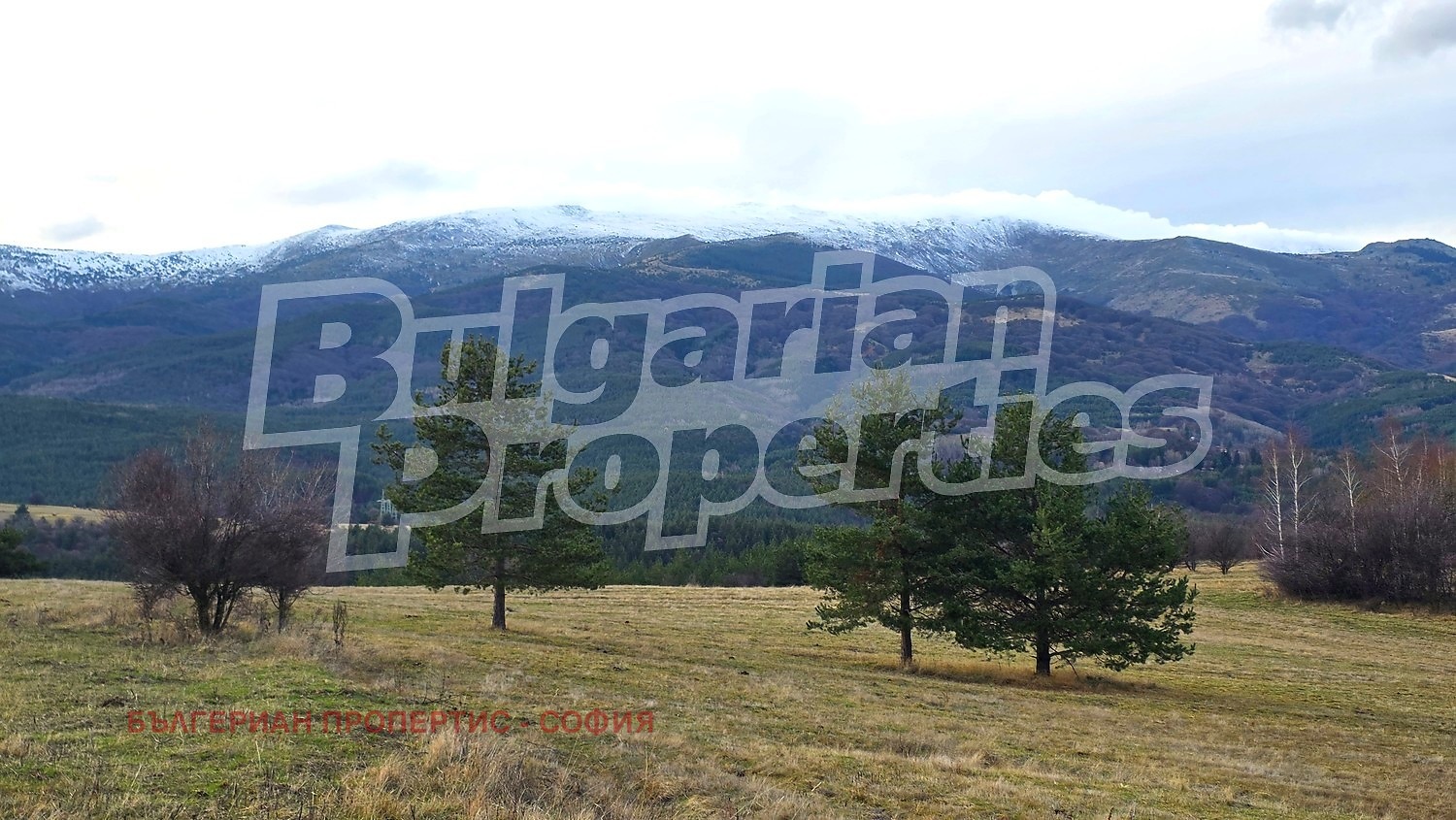 ������� ������ | Imot.bg � ����������� 1