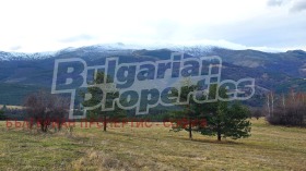 ����� ������� ������,���� �����, �. ���������