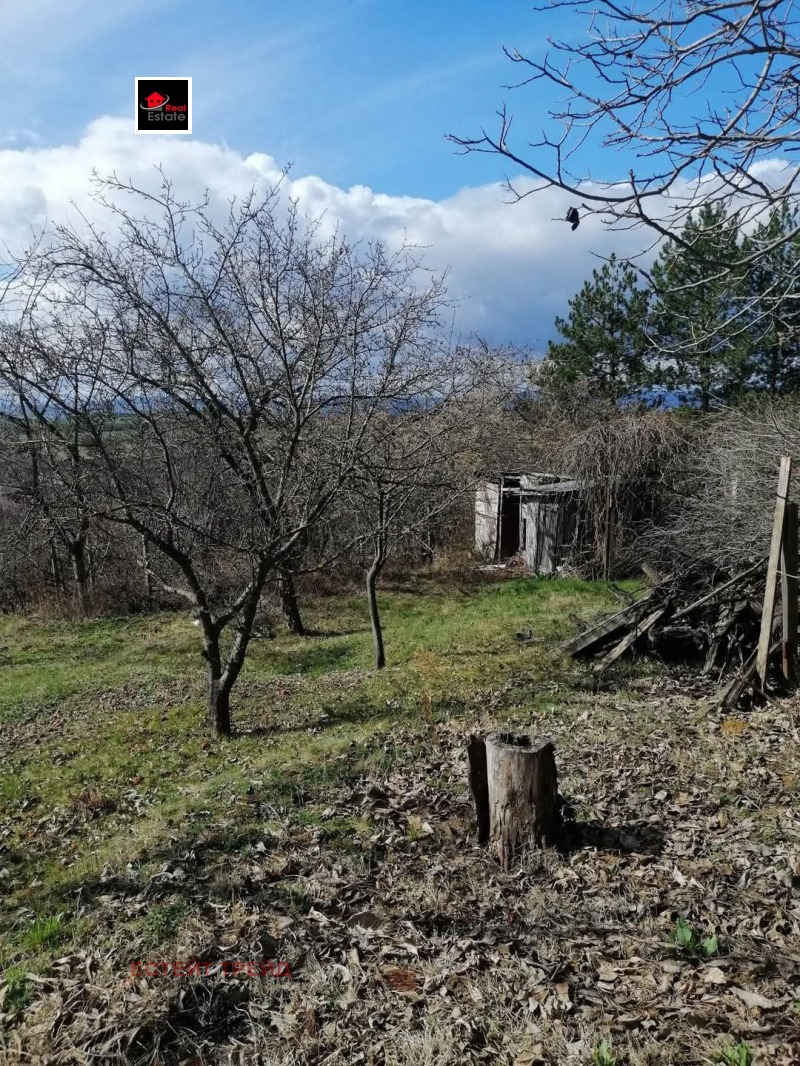 En venta  Villa región Sofia , Dragovishtitsa , 50 metros cuadrados | 57585418 - imagen [9]
