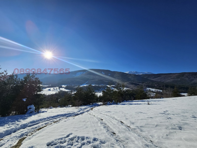 Na prodej  Spiknutí Sofia , Bistrica , 4866 m2 | 34244632 - obraz [2]