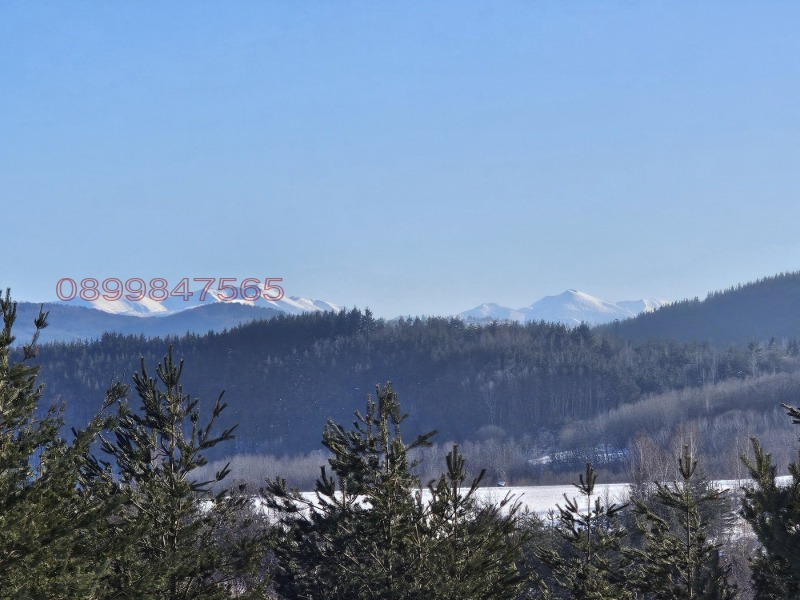 Na prodej  Spiknutí Sofia , Bistrica , 4866 m2 | 34244632 - obraz [3]