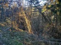 Продава ПАРЦЕЛ, град София, с. Панчарево • 83810 € • 12716717 — Holmes.bg